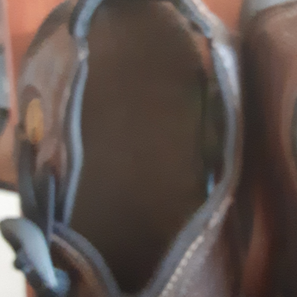 Scandals - Picture 13 of 16